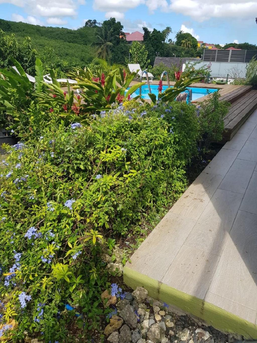 Studio Avec Piscine, A 3 Minutes A Pied Des Plages Sainte-Anne  Exteriér fotografie